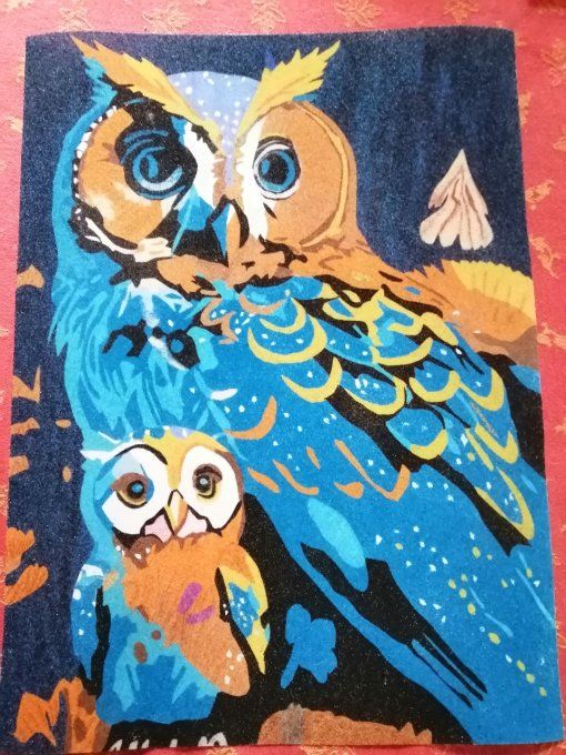 Famille de chouettes