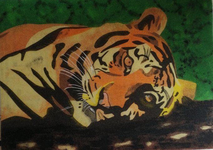 Un tigre sur une branche